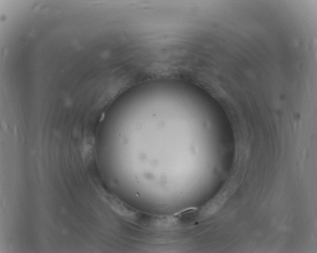 X0000074320576200609082010