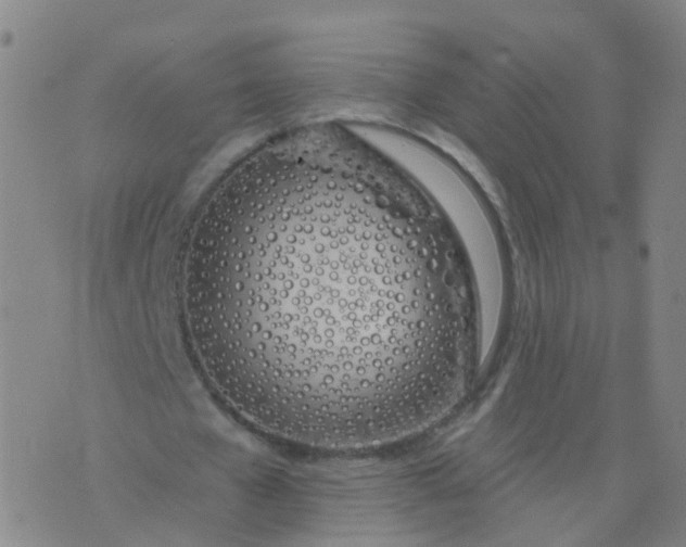 X0000074320577200609082009