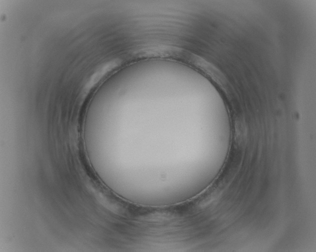 X0000074320578200609082009