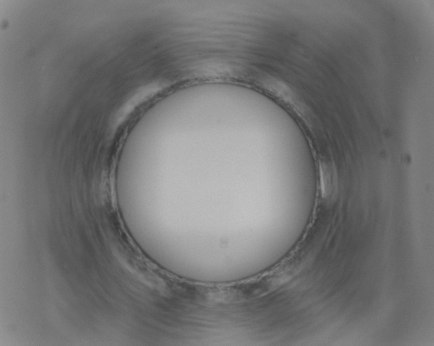 X0000074320579200609082009