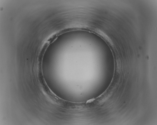 X0000074320580200609082009