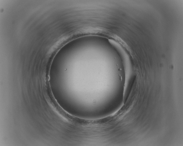 X0000074320581200609082009