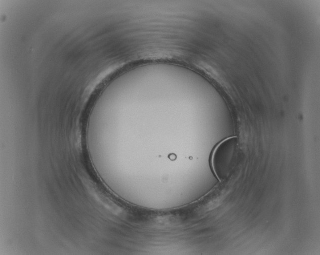 X0000074320584200609082009