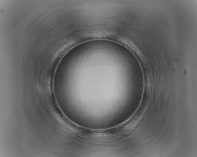 X0000074320585200609082009