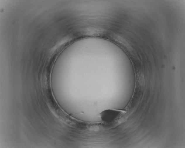 X0000074320587200609082009