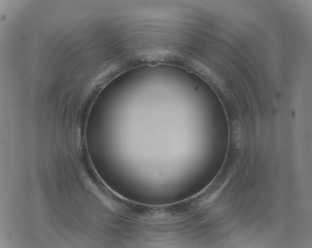 X0000074320589200609082009