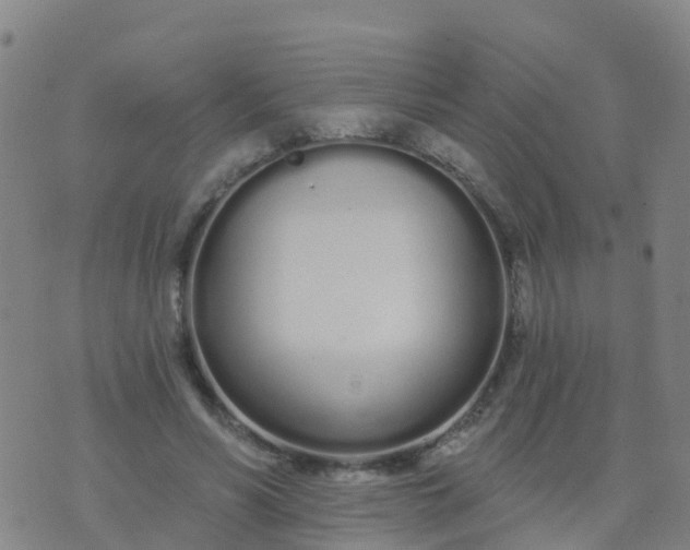 X0000074320590200609082009