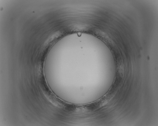 X0000074320591200609082009