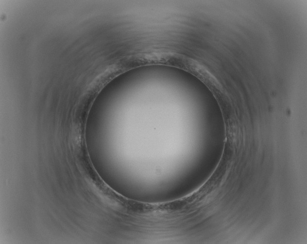 X0000074320593200609082009