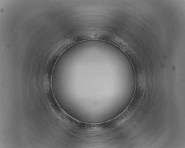 X0000074320594200609082009