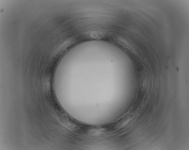 X0000074320595200609082009