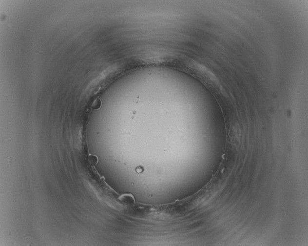 X0000074320596200609082009