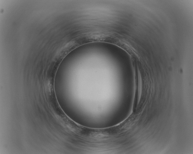 X0000074320597200609082009