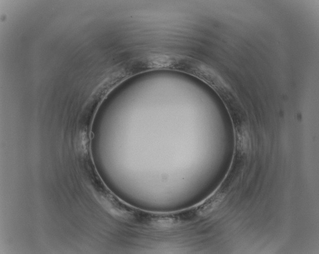 X0000074320598200609082009