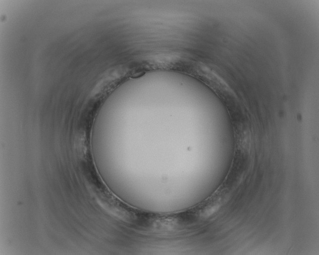 X0000074320599200609082009