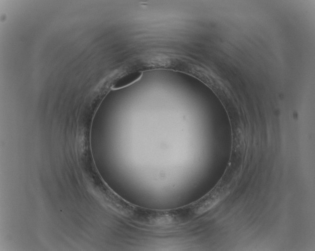 X0000074320600200609082009