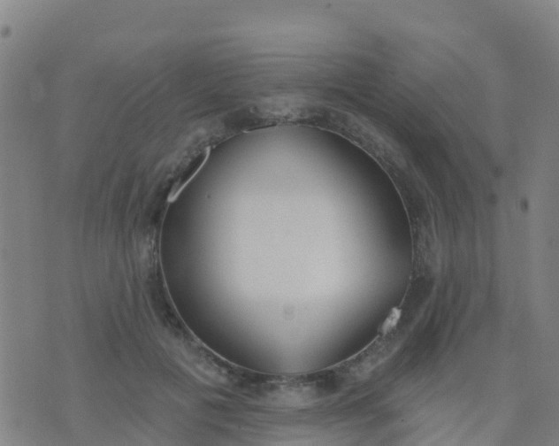 X0000074320601200609082009