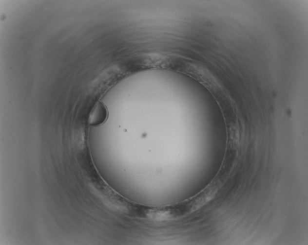 X0000074320602200609082009