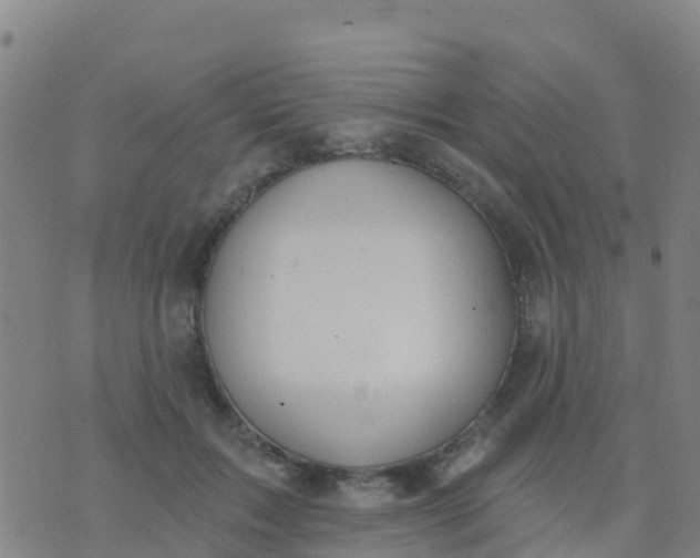 X0000074320603200609082009