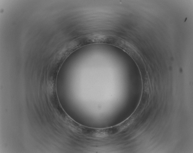 X0000074320604200609082009