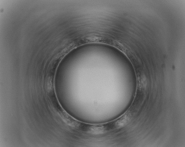 X0000074320606200609082009