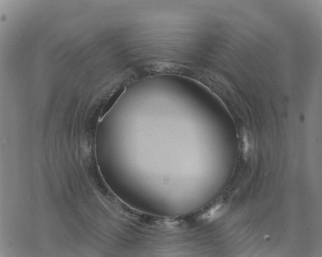 X0000074320607200609082009