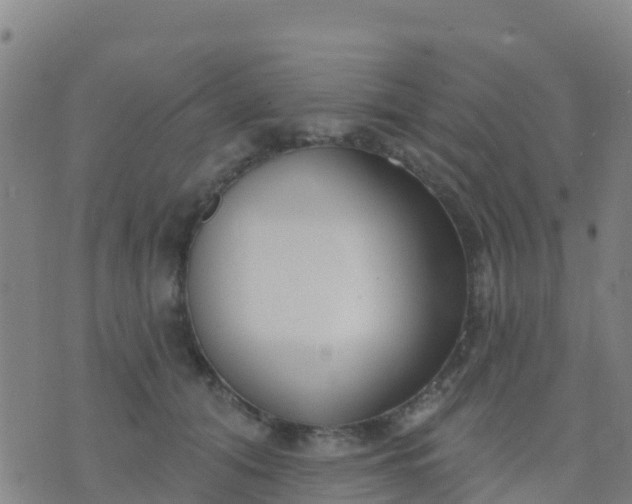 X0000074320608200609082009