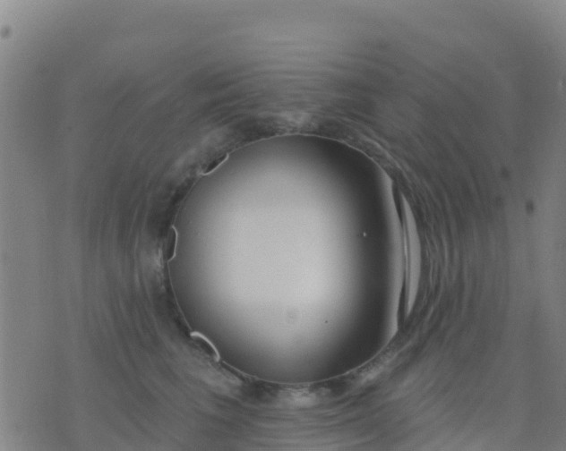 X0000074320613200609082009