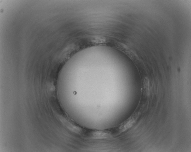 X0000074320614200609082009