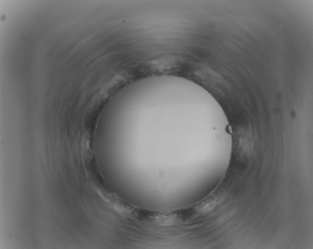 X0000074320615200609082009