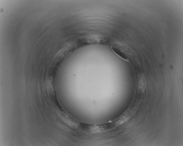 X0000074320616200609082009