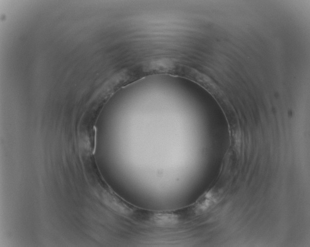 X0000074320617200609082009