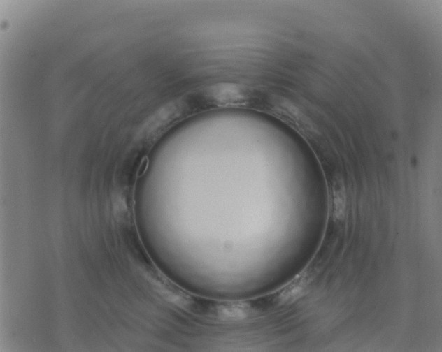 X0000074320618200609082008