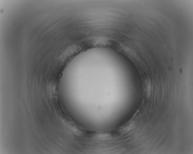 X0000074320619200609082008