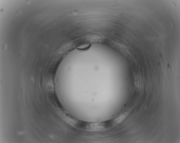 X0000074320622200609082008