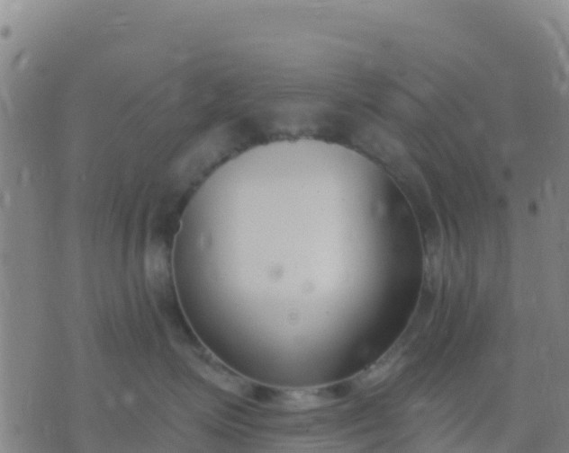 X0000074320623200609082008