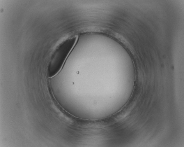 X0000074320625200609082008