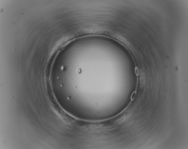 X0000074320626200609082008