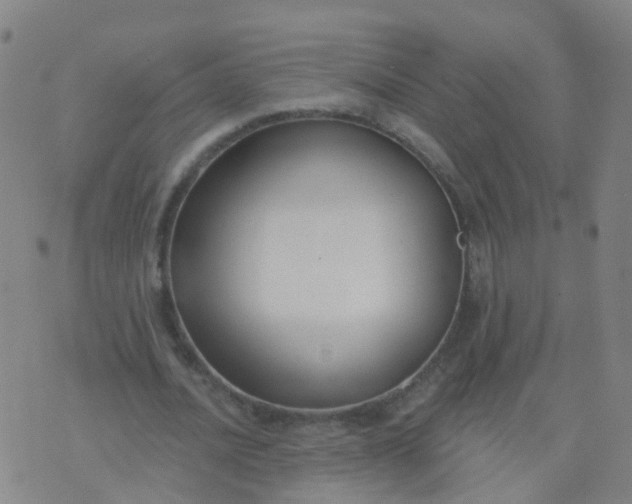 X0000074320628200609082008