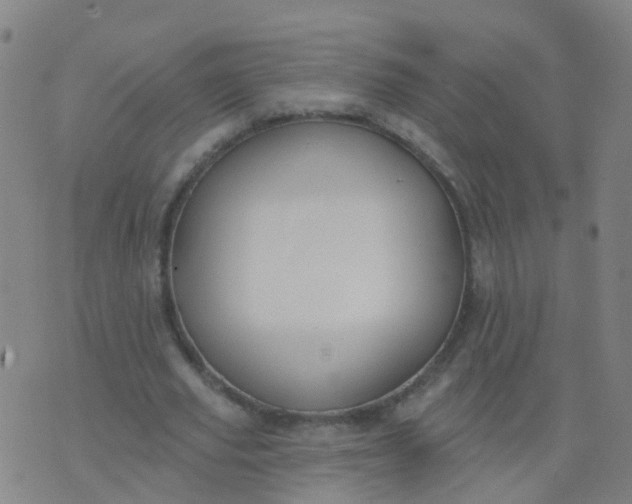 X0000074320629200609082008