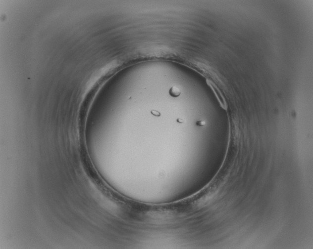 X0000074320630200609082008