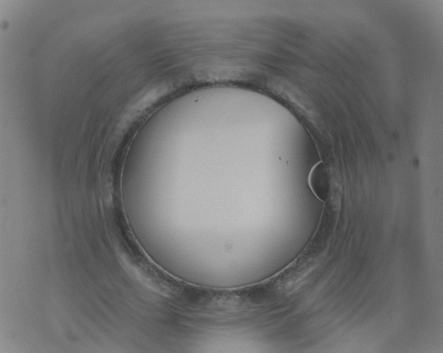 X0000074320631200609082008