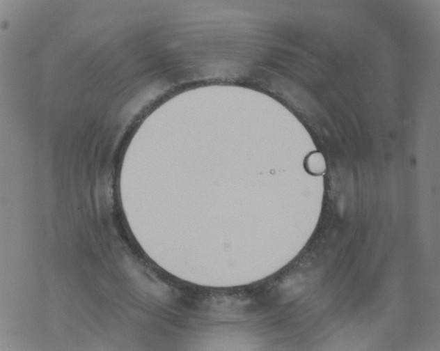 X0000074320632200609082008