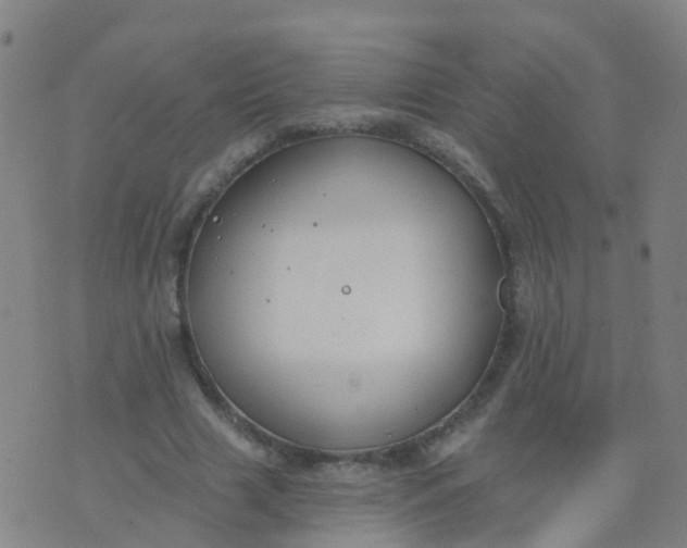 X0000074320633200609082008