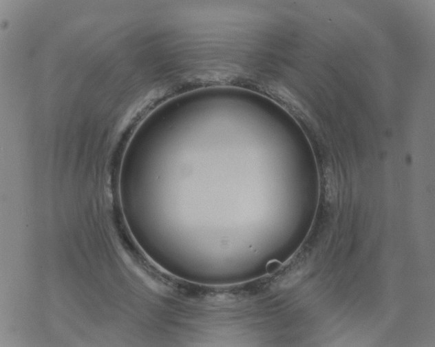 X0000074320634200609082008