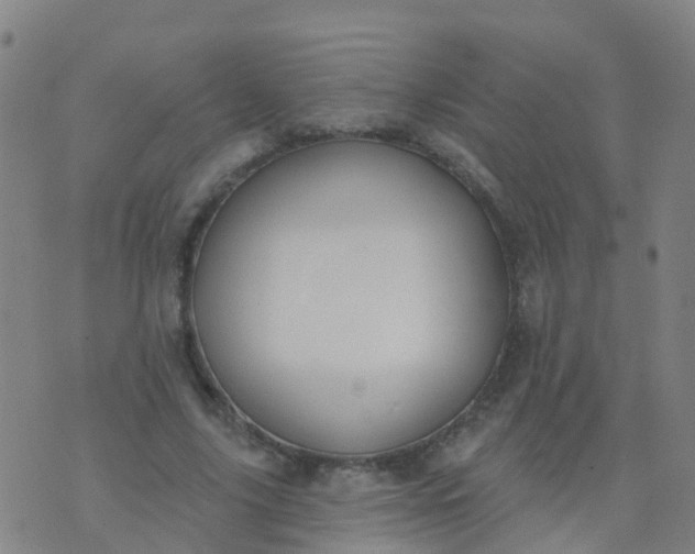 X0000074320635200609082008