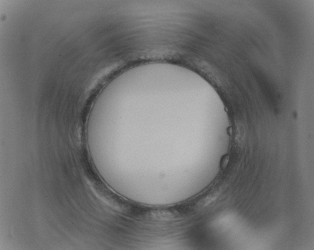 X0000074320636200609082008