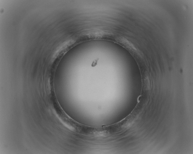 X0000074320638200609082008