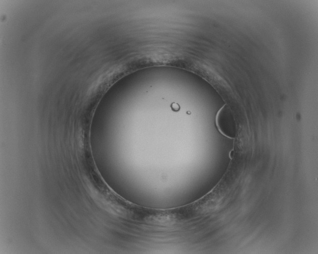 X0000074320639200609082008