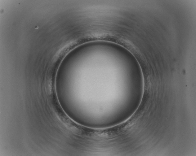 X0000074320640200609082008